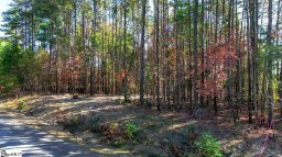 00 Stone Terrace Way