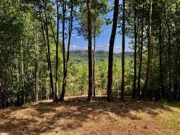 501 Blue Bonnet Trail