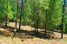 145 Keowee Pass Trail