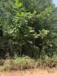 409 Lake Circle Drive