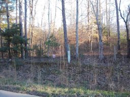 721 Pearson Town Road