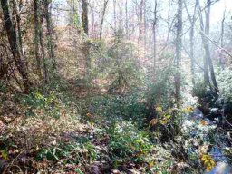 771/781 Pearson Town Road