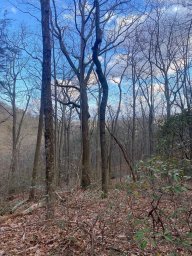 0 Moonshine Falls Trail