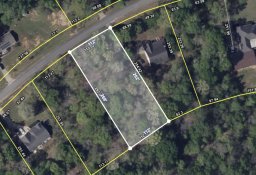 741 Pearson Town Road