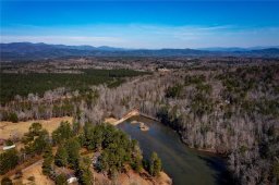 00 The Bear Boulevard