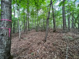 Lot 30 Sourwood Bench Court