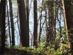 Lot 15 F Cherokee Ridge Road