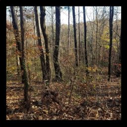 Lot #7 Keowee Harbours Access Rd Road