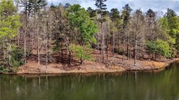 541 The Bear Boulevard