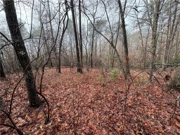 Lot 20 Old Shallowford Bridge Road