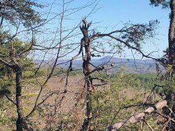 S53 Stone Terrace Way