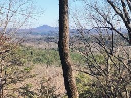 S48 Stone Terrace Way