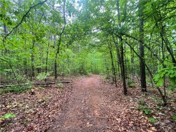 1U The Bear Boulevard