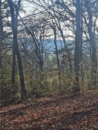 184 Majestic Ridge Road