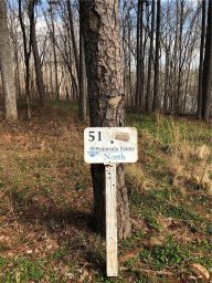 Lot 51 Peninsula Pt North/Vista Pointe Dr