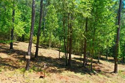 Lot 145 Peninsula Pointe North