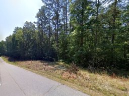 116 Shannandoah Drive