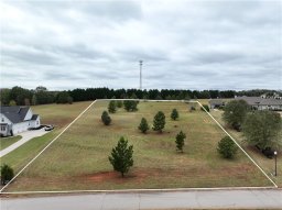 208 Chestnut Springs Way