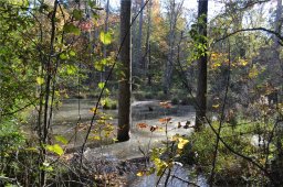 Lot 53 Stardust Lane