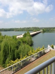 849 Tiger Boulevard #306