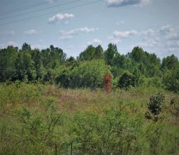 00 Well Mountain Road