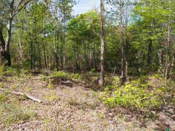 Lot 13 E Lakeshore
