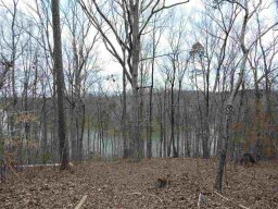 Lot 8 South Shore Drive