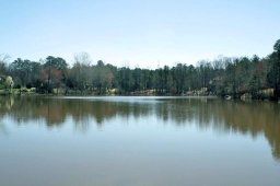 115 Crawford Lake Drive