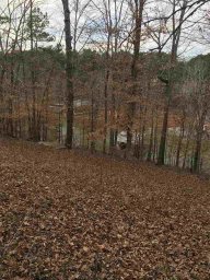 220 Lake Breeze Lane