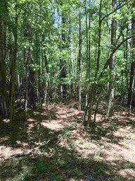 Lot 21 A Brookvale Drive