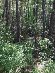 Lot 29 Pt 28 Brookvale Drive