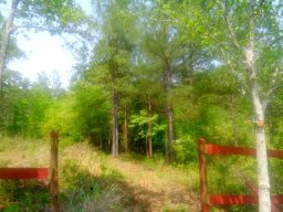 Lot 61,62,63,64 Sweetwater View Road