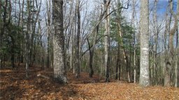 613 Right Branch Road