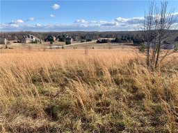 208 Chestnut Springs Way