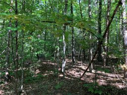 Lot S The Bear Boulevard