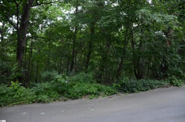 00 Altamont Forest Road LOT 18