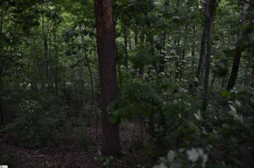 00 Altamont Forest Drive Lot 016