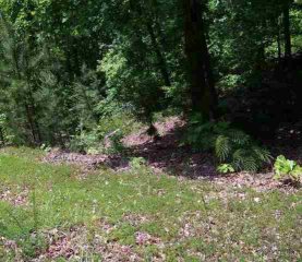 Lot 9 Hatteras Ridge