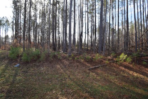 5102 Oxbow Run Lane