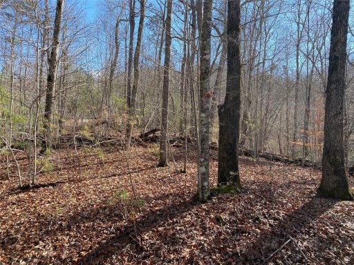 Lot 106 High Pines Loop