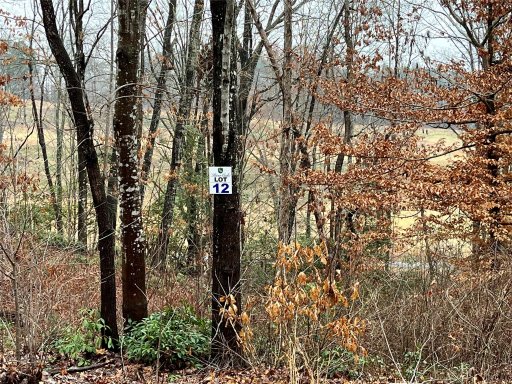 175 Broken Arrow Drive