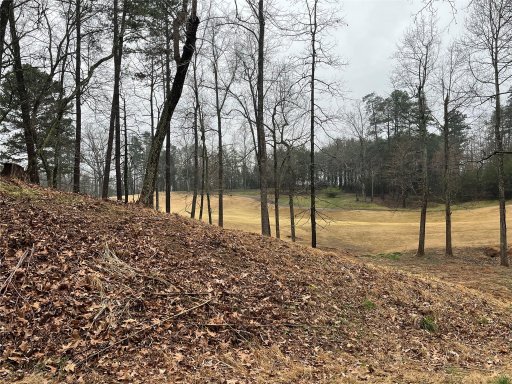 250 Broken Arrow Drive