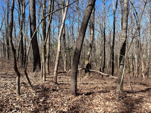 L035 Frazier Road C35