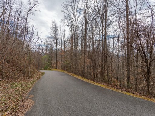 255 Hawks Crest Lane
