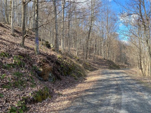 Lot Iii Bear Springs Road