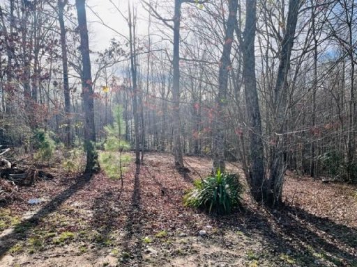 404 Lookout Dam Road