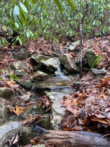 Lot 58 Lost Panther Road