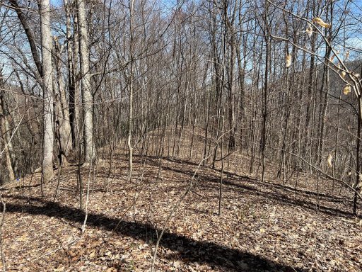 23 Early Spring Way 61