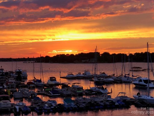 18797 Vineyard Point Lane