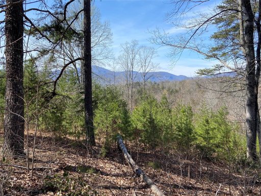 0 Deer Jump Trail 354